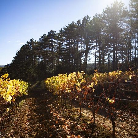 Maison Limoux ลิโมว์ ภายนอก รูปภาพ
